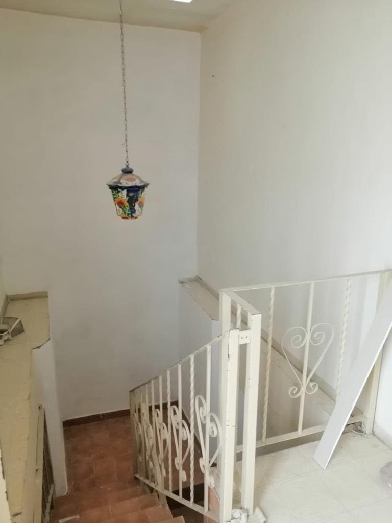 3 RENTA Ampliación margaritas atrás de Soriana Constitución